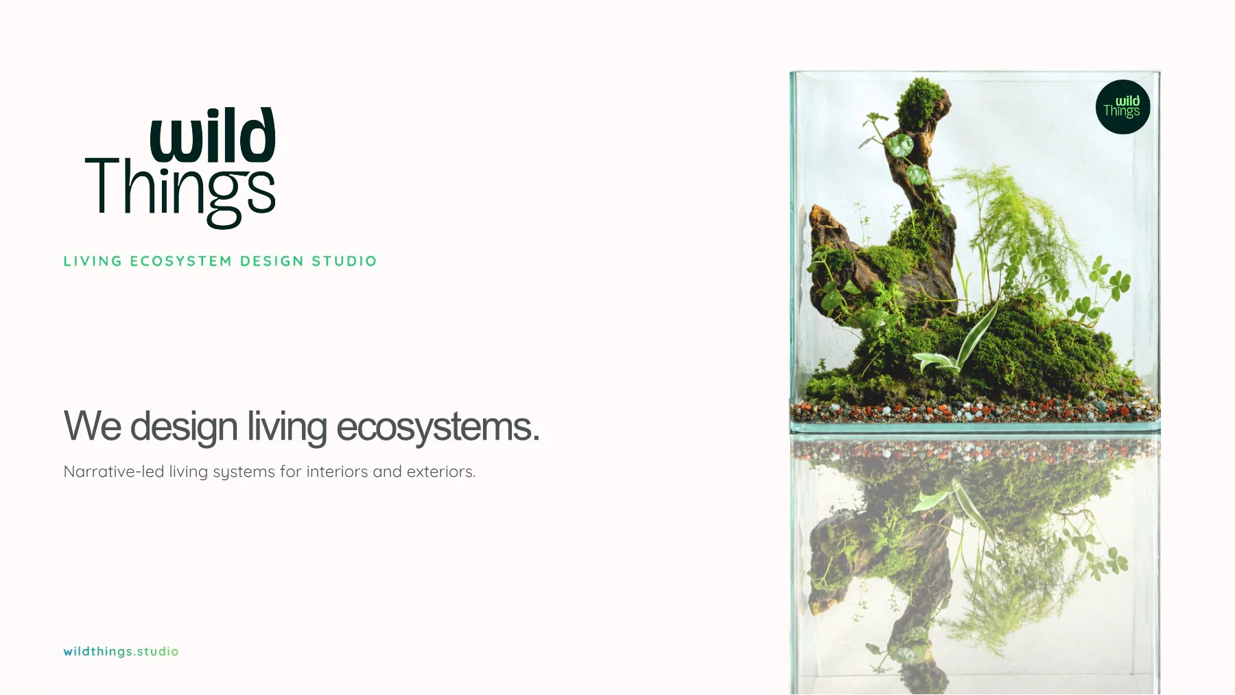 WILD Things brochure page 1