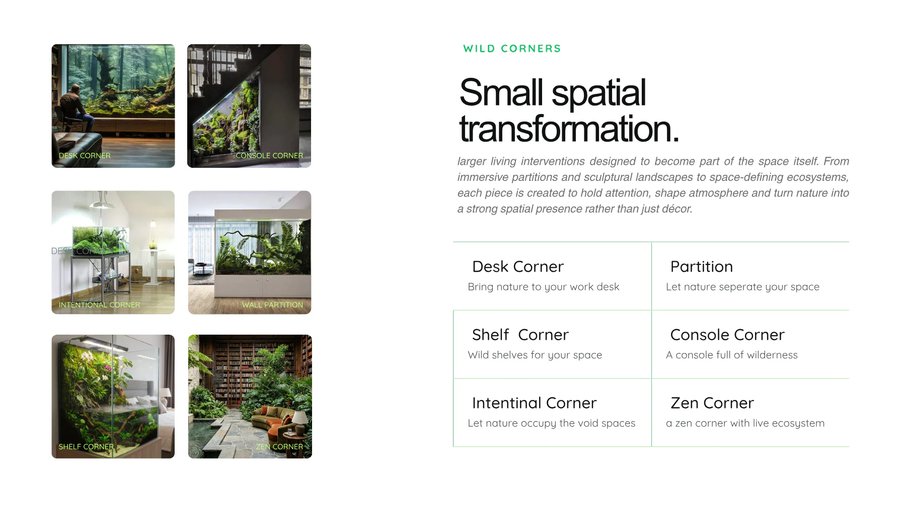 WILD Things brochure page 6